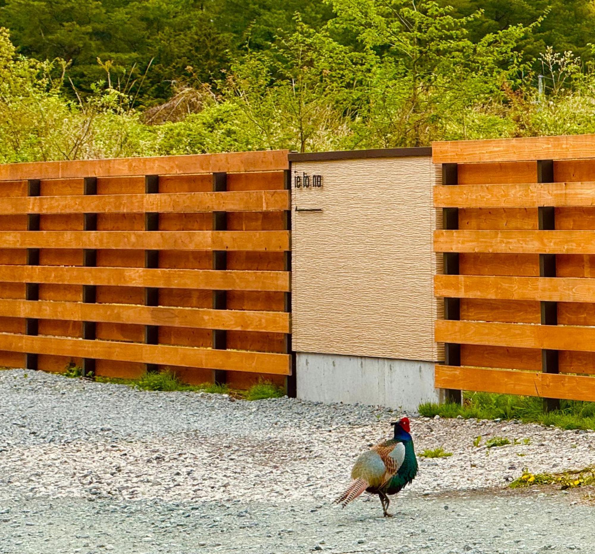 Private Villa Ietona 富士河口湖 外观 照片