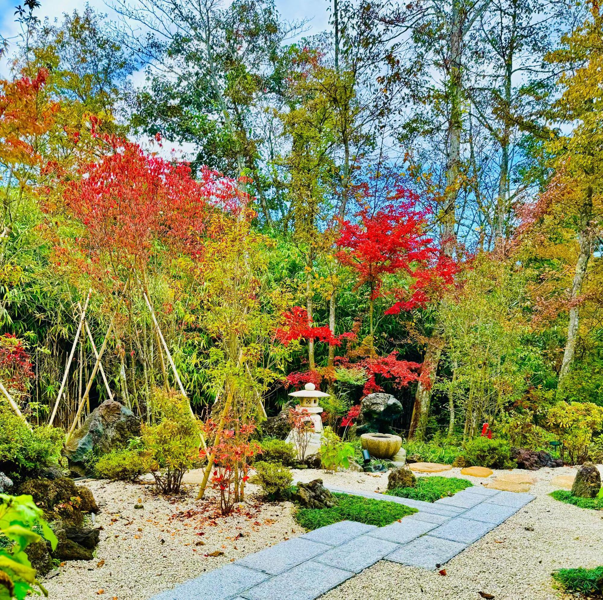 Private Villa Ietona 富士河口湖 外观 照片
